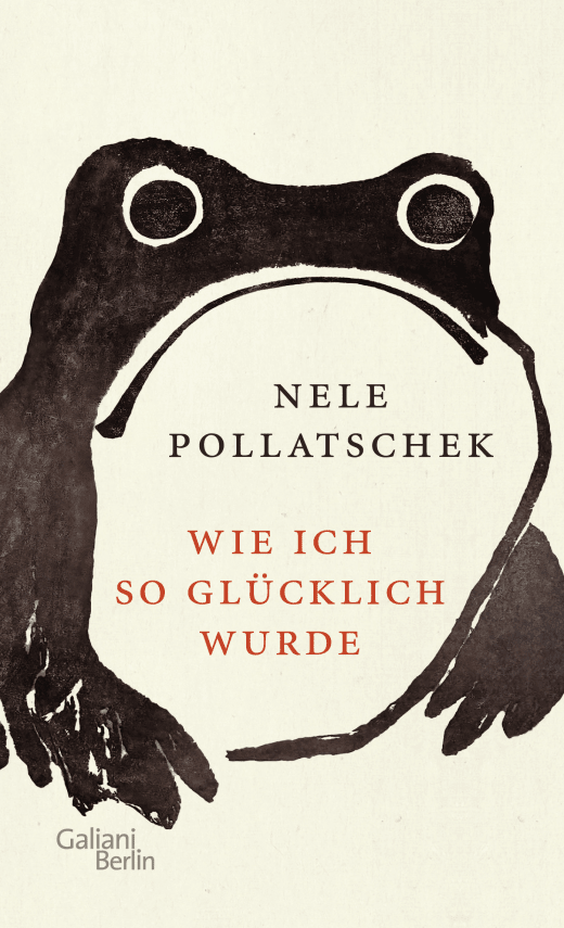 Buchcover Nele Pollatschek Wie ich so glücklich wurde