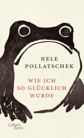 Buchcover Nele Pollatschek Wie ich so glücklich wurde